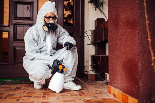 Reliable Ant Control contractor in Baldwin City, KS by Show Me Pest Control
